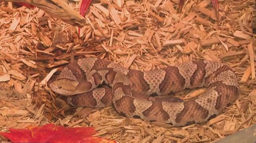 Milwaukee County Zoo Aquatic and Reptile Center