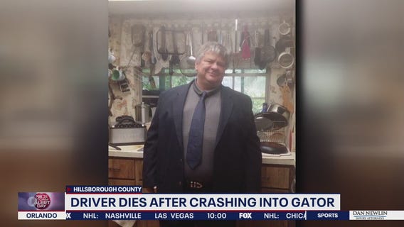 Florida man dies after crashing into alligator