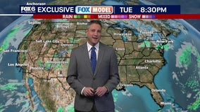 What is the FOX Model?