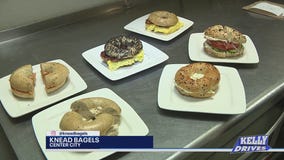 Upscale Bagels at Knead Bagels