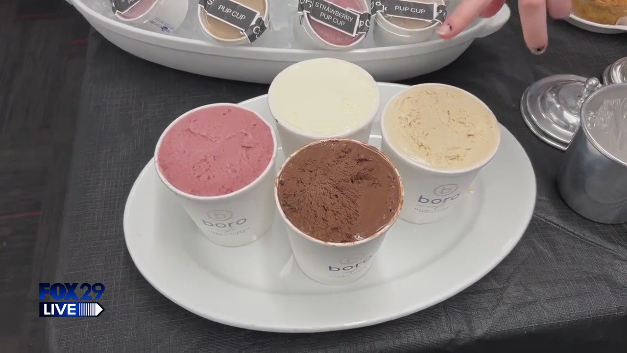 FOX 29 LIVE: What's For Dinner? (Dessert Edition)