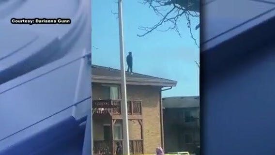 Fugitive arrested in Racine by US Marshals