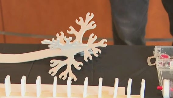 Interactive brain education at BrainExpo 2024