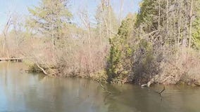 Summer camp registration