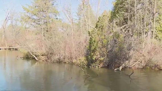 Summer camp registration