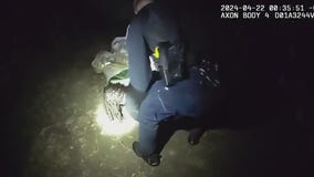 Racine County police chase, crash, and arrest