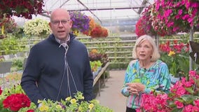 Better baskets and containers at Milaeger?s