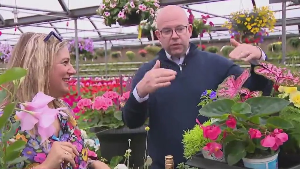 Colorful containers at Milaeger?s