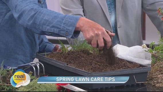Spring lawn care tips
