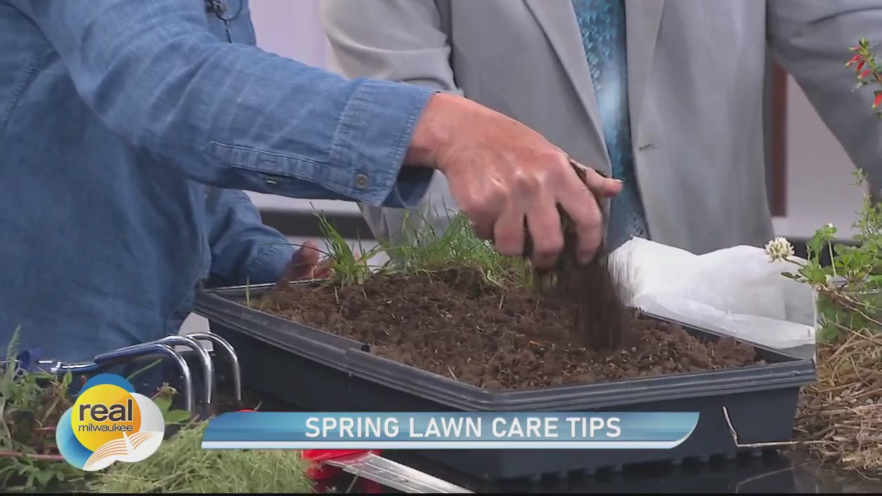 Spring lawn care tips