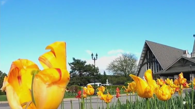 Hotels gear up for RNC visitors