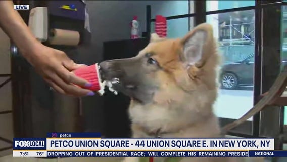 Petco offering luxury items and amenities for pets