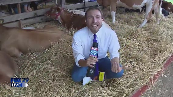 FOX 29 LIVE: Kimberton Community Fair