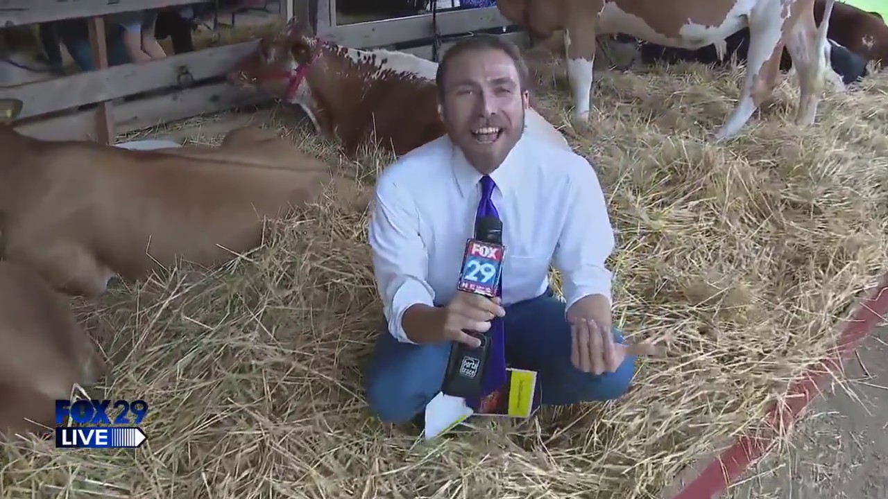 FOX 29 LIVE: Kimberton Community Fair