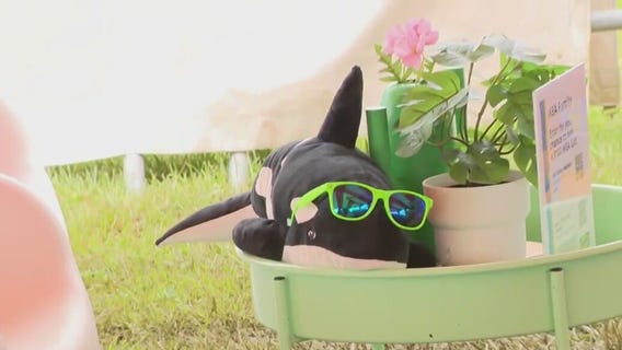 Fun events at the IKEA Family Kite Festival