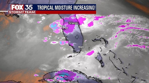 We Love Florida Forecast: May 20, 2022