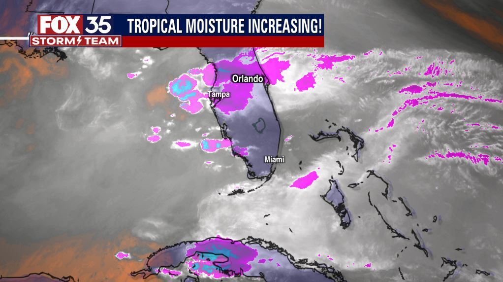 We Love Florida Forecast: May 20, 2022