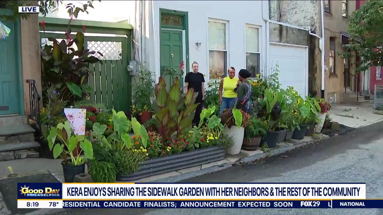 Local woman creates Sidewalk Garden