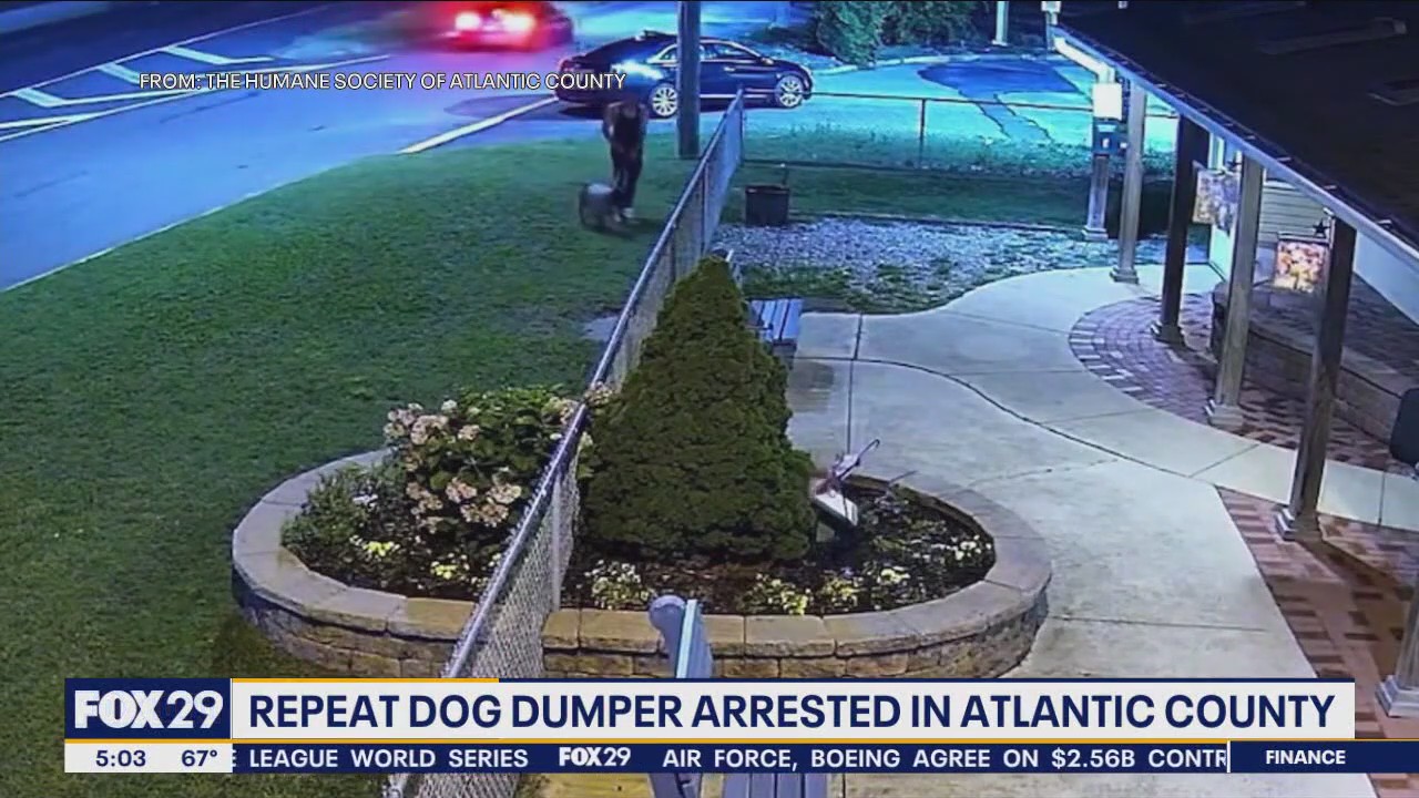 Man arrested after 4 dogs thrown over fence at NJ humane society ...