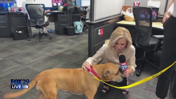 FOX 29 LIVE: ACCT Philly introduces us to Dynasty