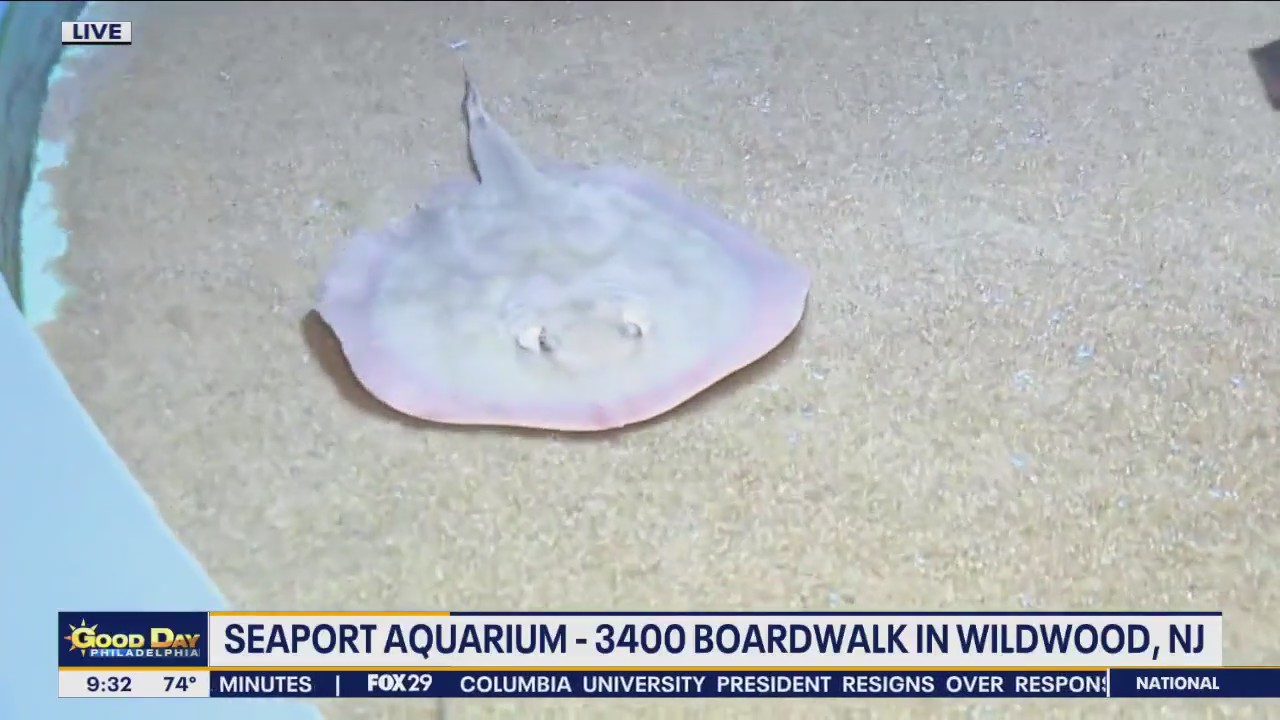 Bob at the Beach: Bob Kelly visits the Seaport Aquarium in Wildwood