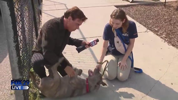 FOX 29 LIVE: Steve Keeley at ACCT Philly