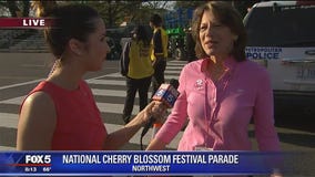A beautiful day for the Cherry Blossom Festival Parade