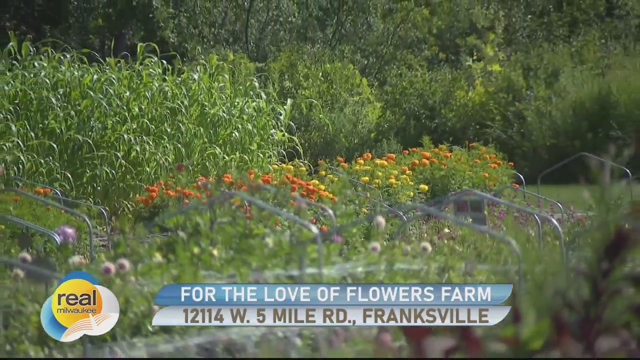 For The Love Of Flowers Farm; You-pick flower farm