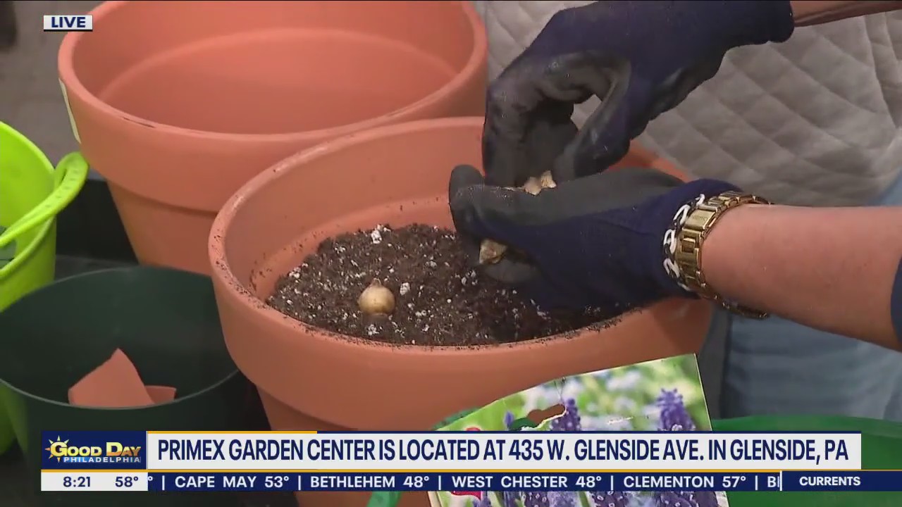 Fall gardening tips that will pay off now and in the spring