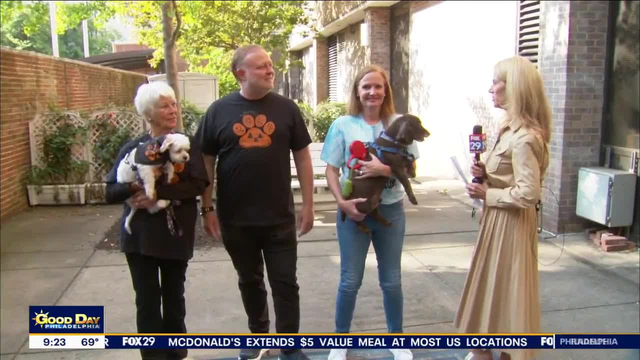 Previewing the 25th Anniversary of Paws for the Cause