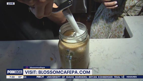 Blossom Cafe taking part in Freedom From Hunger Drive