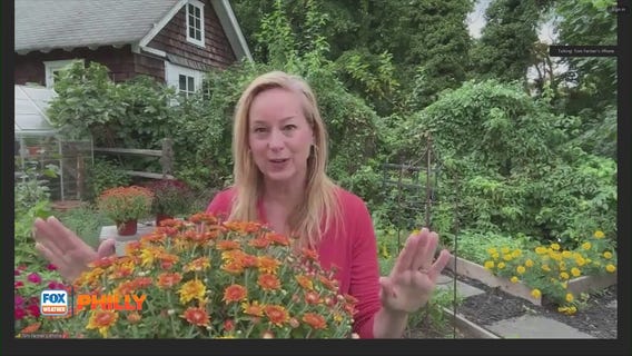 Tuesdays with Toni | FOX Weather Philly