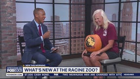 Jack-O'-Lantern Nights at the Racine Zoo