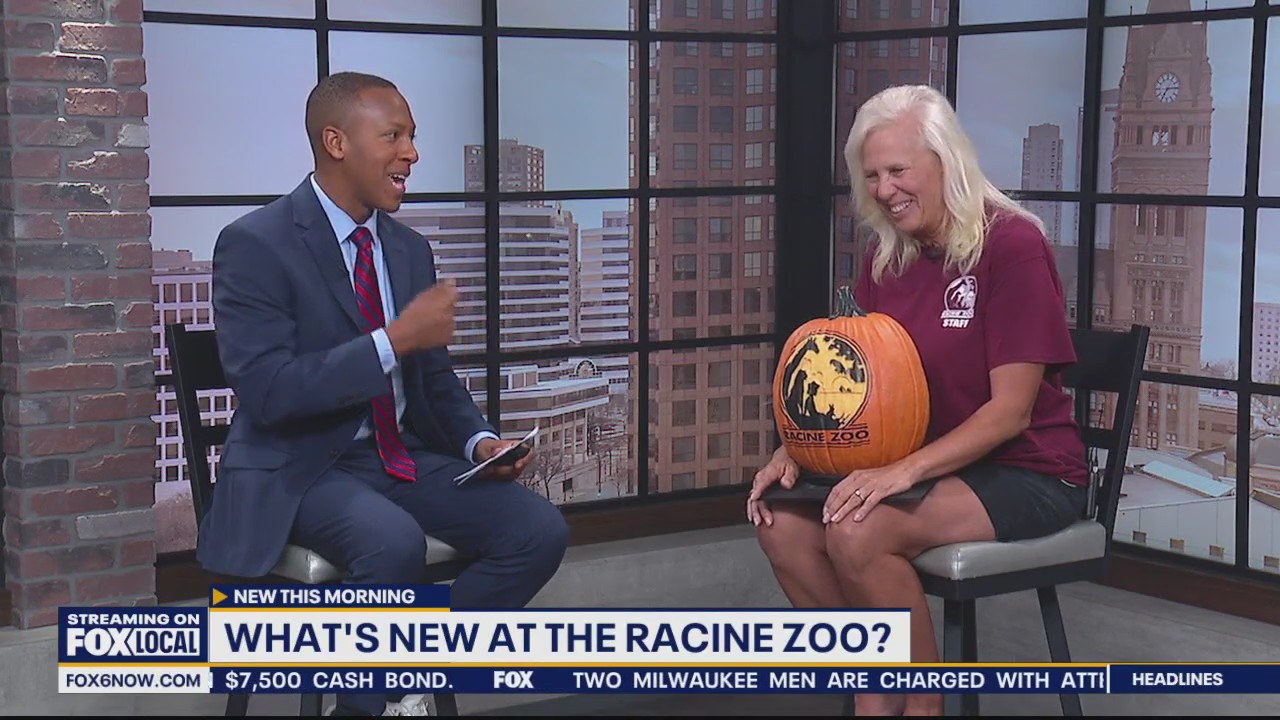 Jack-O'-Lantern Nights at the Racine Zoo