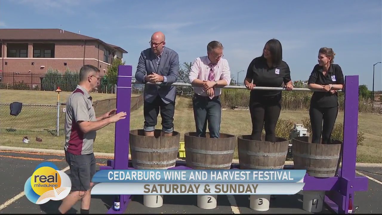 Grape stomping with Cedar Creek Winery