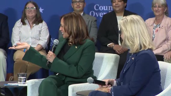 VP Kamala Harris Brookfield campaign event