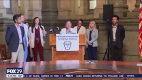 Doctors, nurses, health experts launch new PA task force to end gun violence