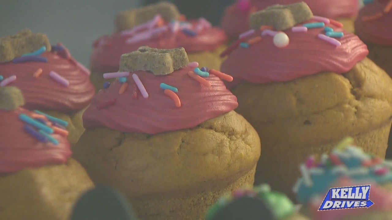 Homemade Treats and Cakes for Your Pup at Pet Friendly Dog Bakery