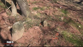 Battle brewing over developer's plan to build on land where African American cemetery resides