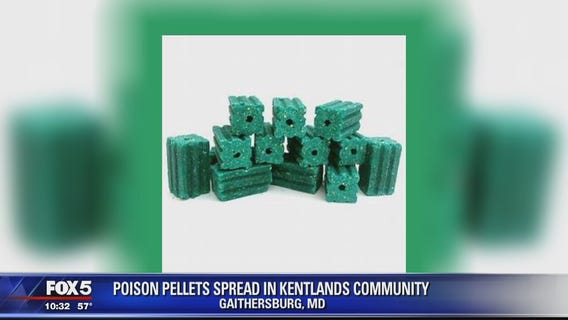 Cleanup effort underway after poison pellets spread throughout Gaithersburg neighborhood