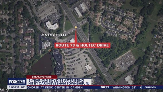 3-year-old dies after being struck by vehicle