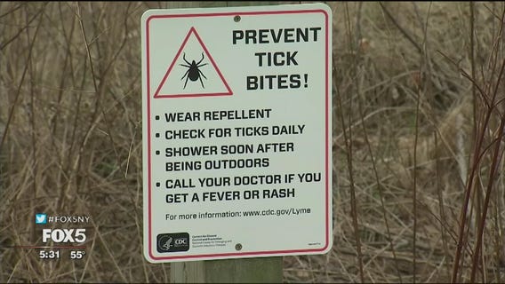 Ticks are active on Long Island