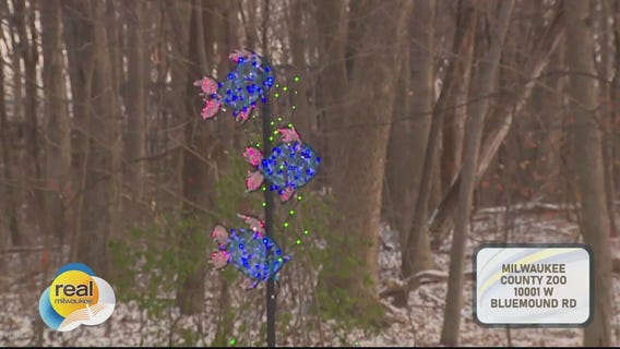 Wild Lights 2024; Festive light displays at the Milwaukee County Zoo