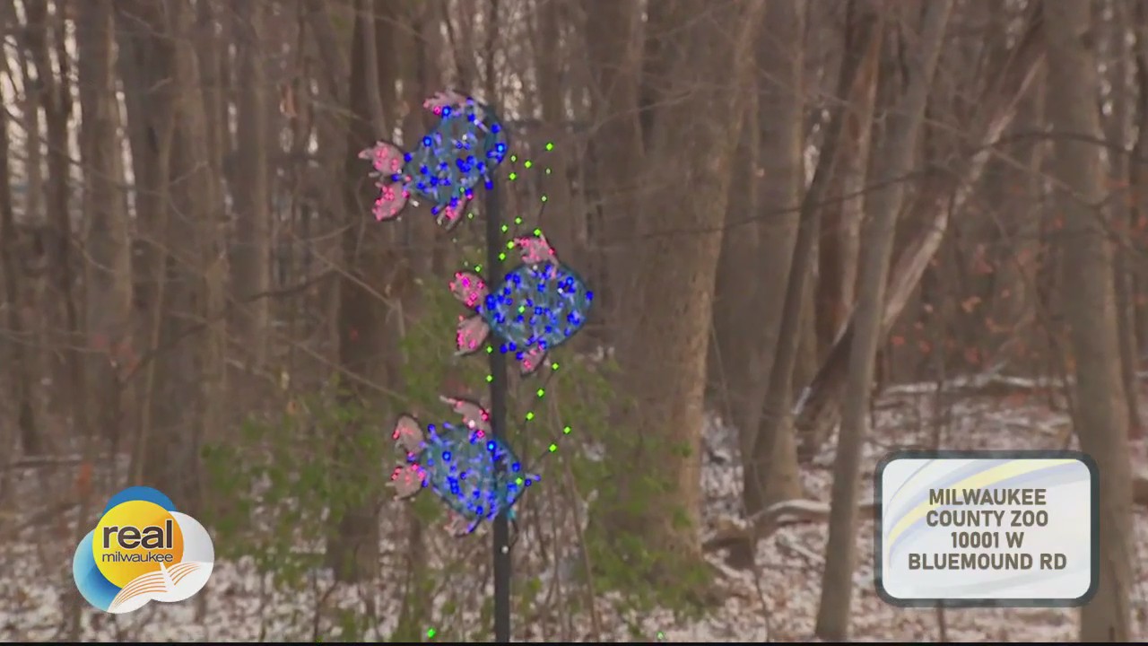 Wild Lights 2024; Festive light displays at the Milwaukee County Zoo