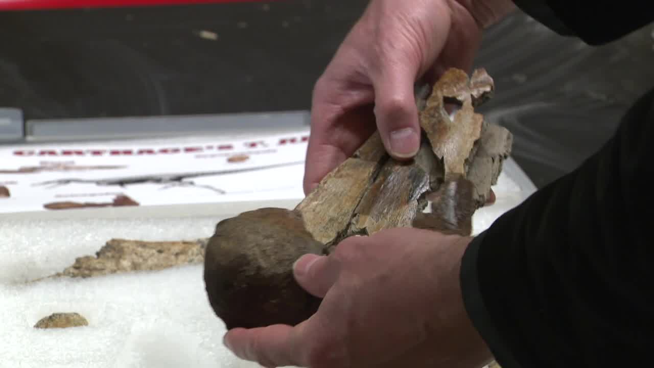 Episode 329: Bones in the Basement