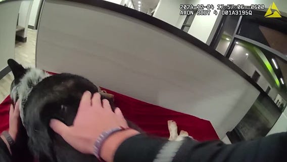 Dog rescue in Racine County