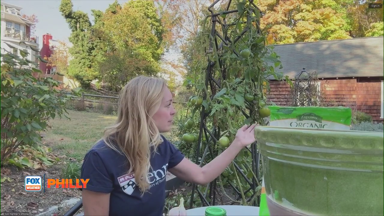 Tuesdays with Toni | FOX Weather Philly