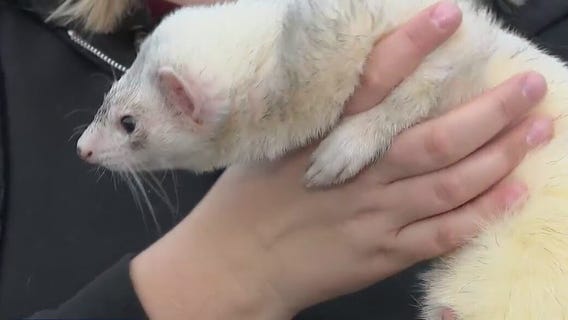 Meet an animal ambassador at Racine Zoo