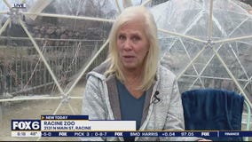 Who's enjoying the snow globes at Racine Zoo?