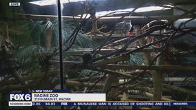 One last visit to Racine Zoo